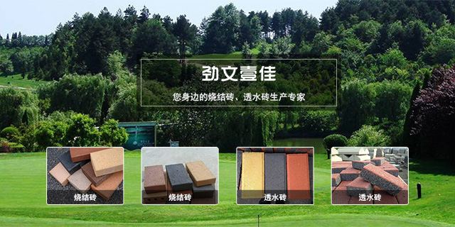 四川烧结砖